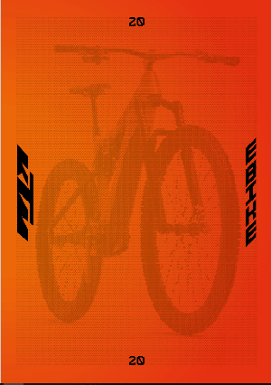 KTM E-Bike 2020